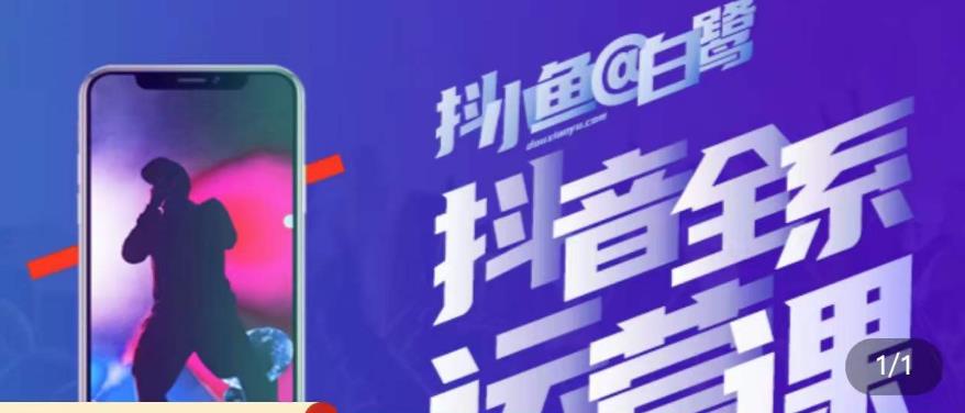 白鹭·主播内训营，运营主播话术起号进阶能力提升-网赚36计