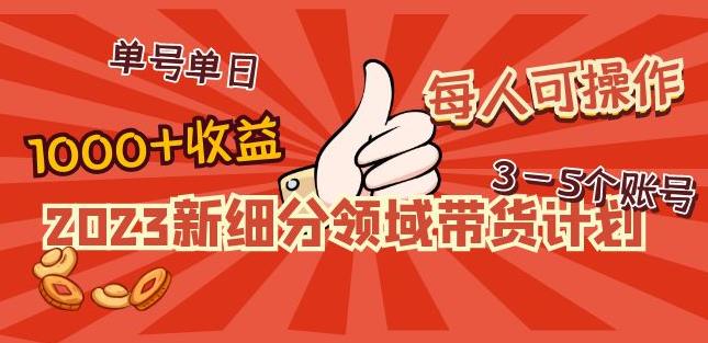 2023新细分领域带货计划：单号单日1000+收益不难，每人可操作3-5个账号-网赚36计