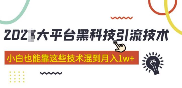 大平台黑科技引流技术,小白也能靠这些技术混到月入1w+(2022年的课程)
