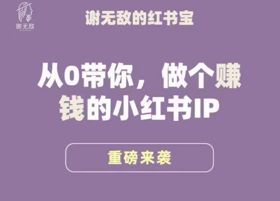 谢无敌·小红书运营大宝典,从0带你做个赚钱的小红书IP