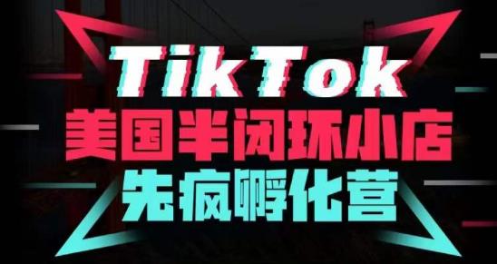 疯人院·TikTok美国半闭环小店孵化营，抢占TikTok美国蓝海市场，开店、运营、带货、投流全实操-网赚36计
