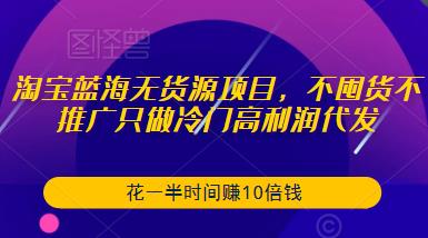 淘宝蓝海无货源项目，不囤货不推广只做冷门高利润代发，花一半时间赚10倍钱-网赚36计