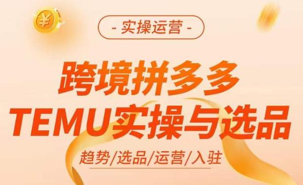 跨境拼多多TEMU实操与选品，​掌握平台运营方法技巧，选品避坑12条标准，爆款的底层思路等-网赚36计