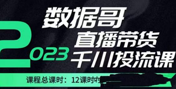 数据哥2023直播电商巨量千川付费投流实操课，快速掌握直播带货运营投放策略-网赚36计
