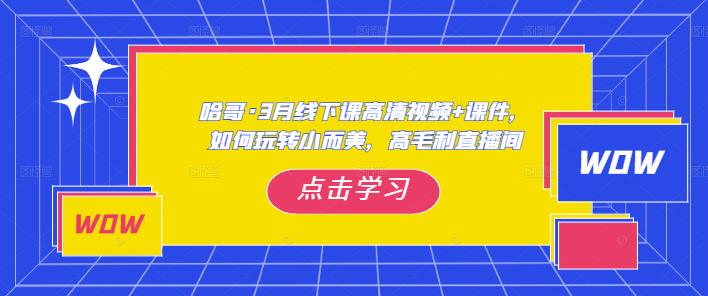 哈哥·3月线下实操课高清视频+课件,如何玩转小而美,高毛利直播间