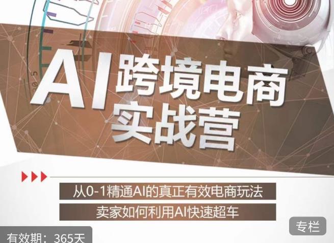 白龙老师·AI跨境电商实战营：从0-1精通Al的真正有效电商玩法，卖家如何利用Al快速超车-网赚36计