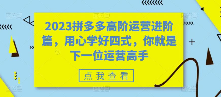 2023拼多多高阶运营进阶篇，用心学好四式，你就是下一位运营高手-网赚36计
