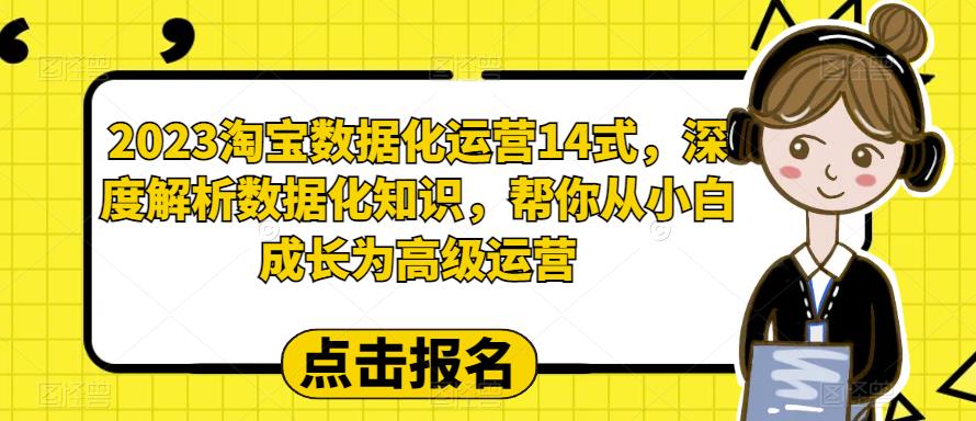 2023淘宝数据化运营14式，深度解析数据化知识，帮你从小白成长为高级运营-网赚36计