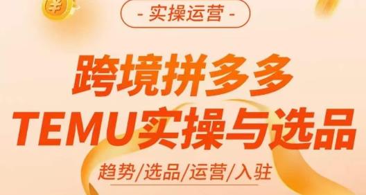 伍跃·跨境拼多多TEMU实操与选品，​趋势/选品/运营/入住（27节完整）-网赚36计