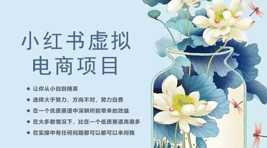 小红书虚拟电商从0到1,让你从小白到精英(20节实操课程)