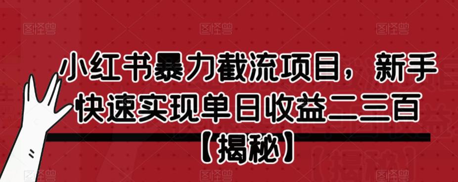小红书暴力截流项目，新手快速实现单日收益二三百【仅揭秘】-网赚36计