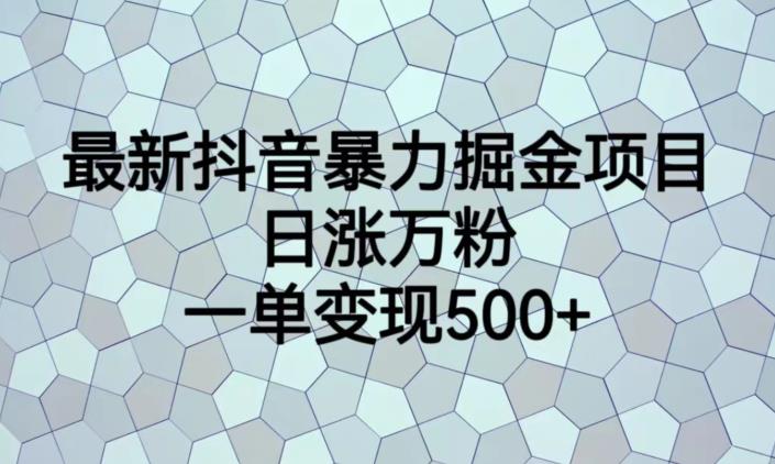 最新抖音暴力掘金项目，日涨万粉，一单变现500+【揭秘】-网赚36计