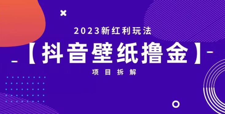 抖音壁纸小程序创作者撸金项目，2023新红利玩法【项目拆解】-网赚36计