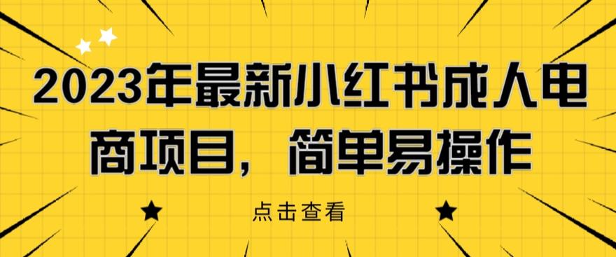 2023年最新小红书成人电商项目，简单易操作【详细教程】【揭秘】-网赚36计