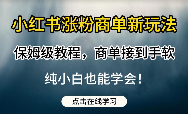 小红书涨粉商单新玩法，保姆级教程，商单接到手软，纯小白也能学会【揭秘】-网赚36计