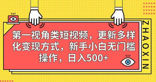 第一视角类短视频，更新多样化变现方式，新手小白无门槛操作，日入500+【揭秘】-网赚36计