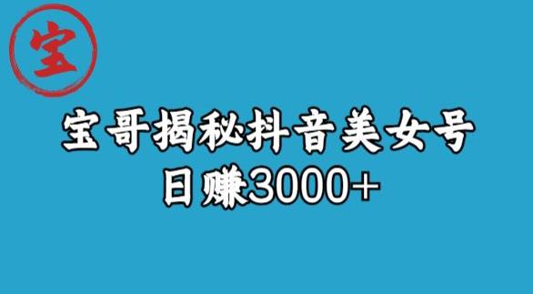 宝哥揭秘抖音美女号玩法，日赚3000+【揭秘】-网赚36计