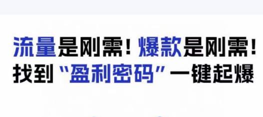 电商盈利精品课:6大盈利密码让产品更好卖,流量是刚需!爆款是刚需!找到