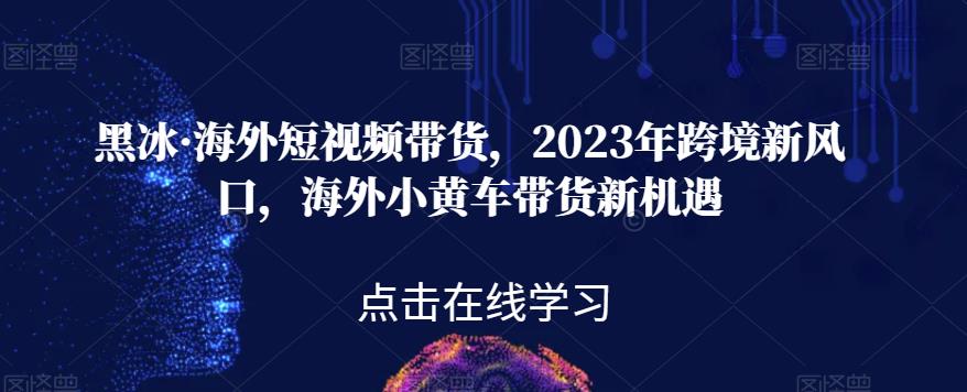 黑冰·海外短视频带货，2023年跨境新风口，海外小黄车带货新机遇-网赚36计