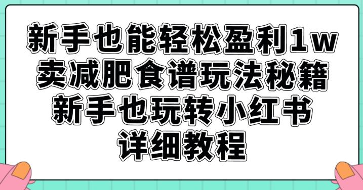 新手也能轻松盈利1w，卖减肥食谱玩法秘籍，新手也玩转小红书详细教程【揭秘】-网赚36计