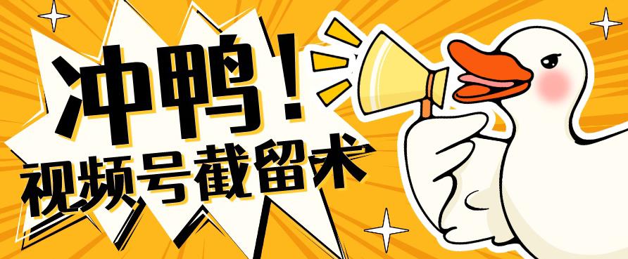 全球首发-视频号无限截留术-你不知道的流量沃土-网赚36计