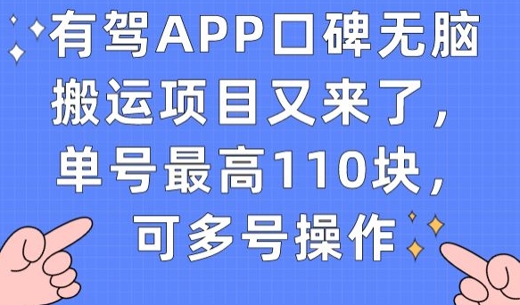 有驾APP口碑无脑搬运项目又来了，单号最高110块，可多号操作-网赚36计