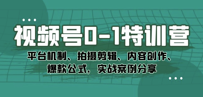 视频号0-1特训营：平台机制、拍摄剪辑、内容创作、爆款公式，实战案例分享-网赚36计