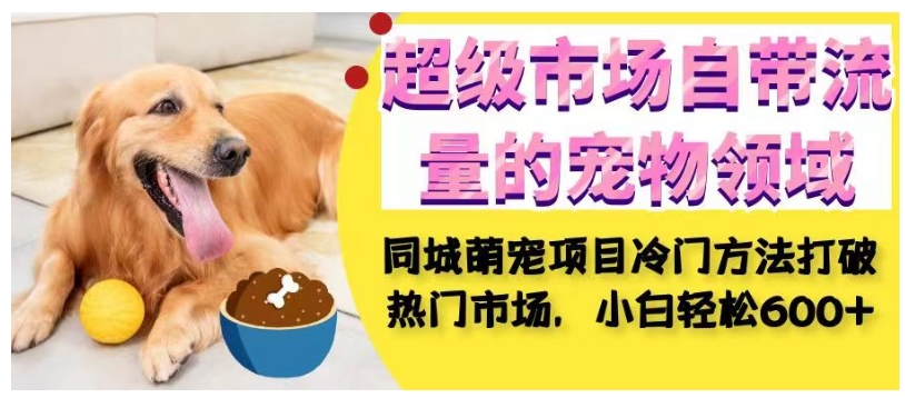 超级市场自带流量的宠物领域，同城萌宠项目冷门方法打破热门市场，小白轻松600+-网赚36计