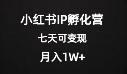 价值2000+的小红书IP孵化营项目，超级大蓝海，七天即可开始变现，稳定月入1W+-网赚36计