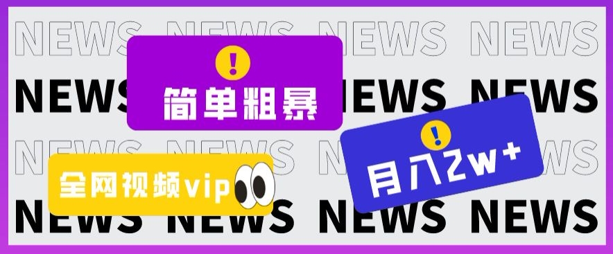 简单粗暴零成本，高回报，全网视频VIP掘金项目，月入2万＋【揭秘】-网赚36计