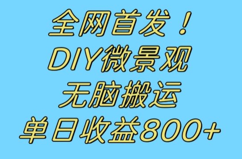 全网首发冷门赛道!DIY微景观,无脑搬运视频,日收益800+【揭秘】