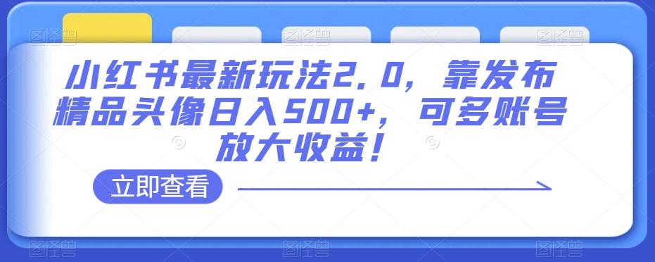 小红书最新玩法2.0，靠发布精品头像日入500+，可多账号放大收益！【揭秘】-网赚36计
