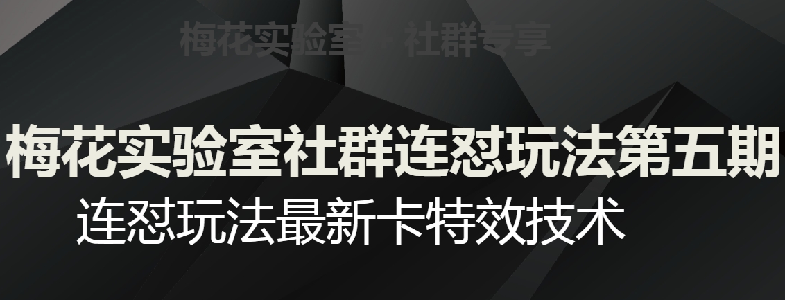 梅花实验室社群连怼玩法第五期，视频号连怼玩法最新卡特效技术-网赚36计