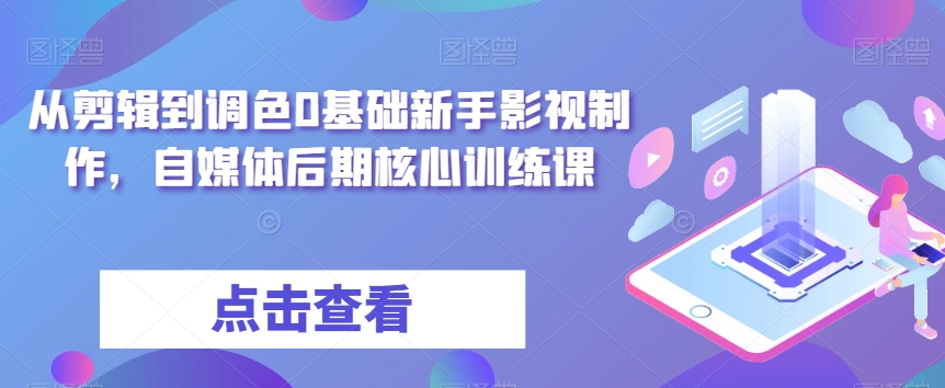 从剪辑到调色0基础新手影视制作，自媒体后期核心训练课-网赚36计