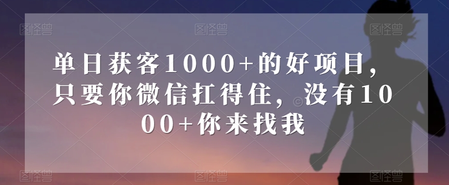 单日获客1000+的好项目，只要你微信扛得住，没有1000+你来找我【揭秘】-网赚36计