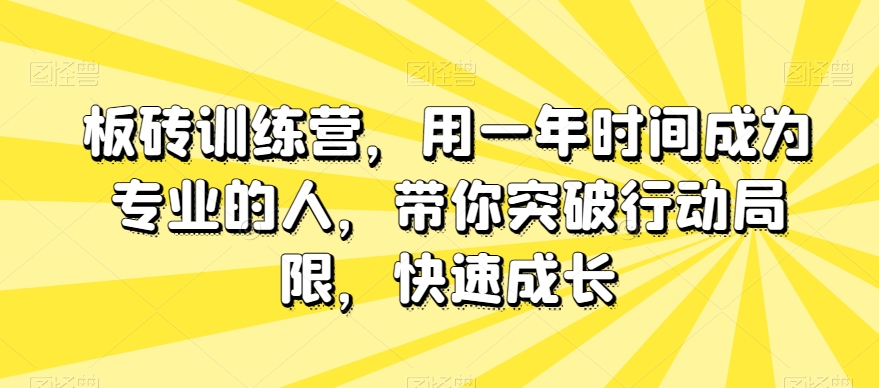 板砖训练营，用一年时间成为专业的人，带你突破行动局限，快速成长-网赚36计