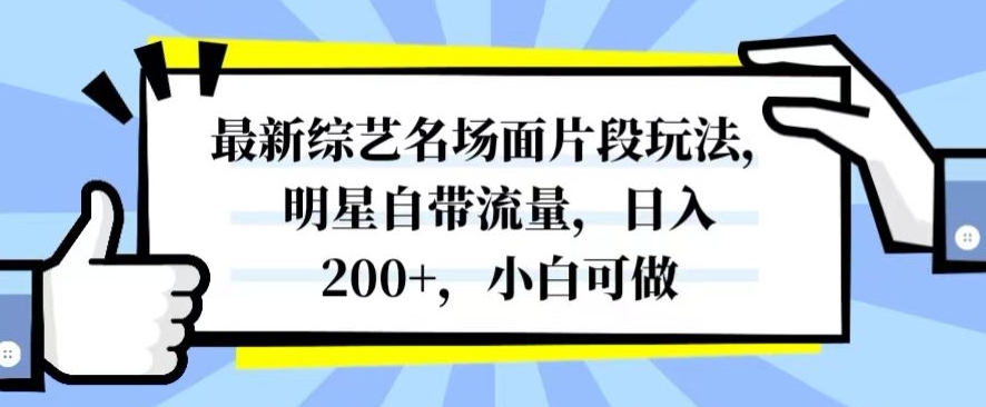 最新综艺名场面片段玩法，明星自带流量，日入200+，小白可做【揭秘】-网赚36计