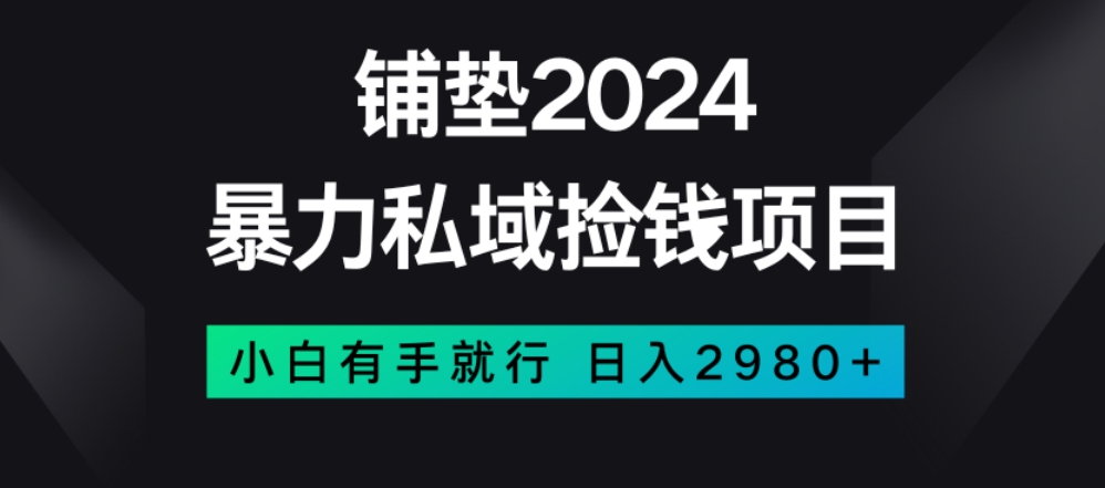 暴力私域捡钱项目，小白无脑操作，日入2980【揭秘】-网赚36计