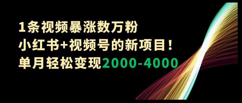 1条视频暴涨数万粉–小红书+视频号的新项目！单月轻松变现2000-4000【揭秘】-网赚36计