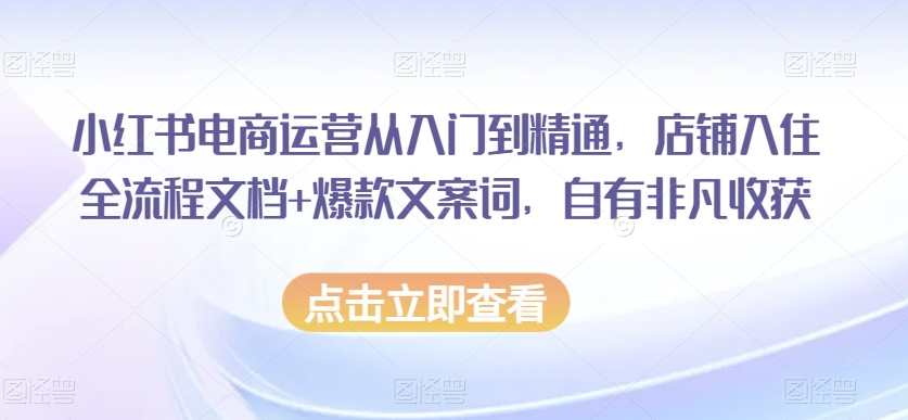 小红书电商运营从入门到精通，店铺入住全流程文档+爆款文案词，自有非凡收获-网赚36计