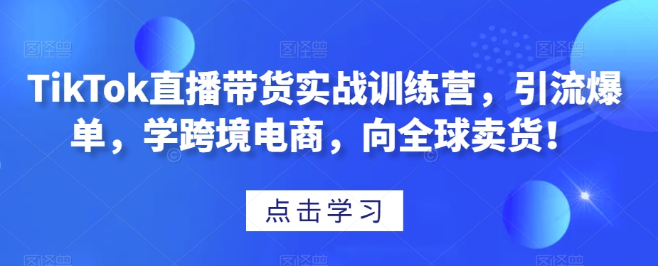 TikTok直播带货实战训练营，引流爆单，学跨境电商，向全球卖货！-网赚36计