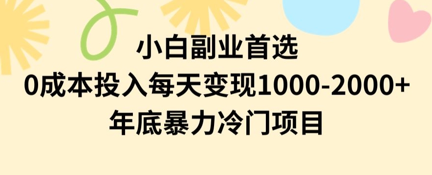 小白副业首选，0成本投入，每天变现1000-2000年底暴力冷门项目【揭秘】-网赚36计