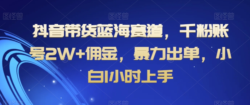 抖音带货蓝海赛道，千粉账号2W+佣金，暴力出单，小白1小时上手【揭秘】-网赚36计