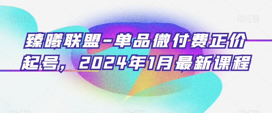 臻曦联盟-单品微付费正价起号，2024年1月最新课程-网赚36计