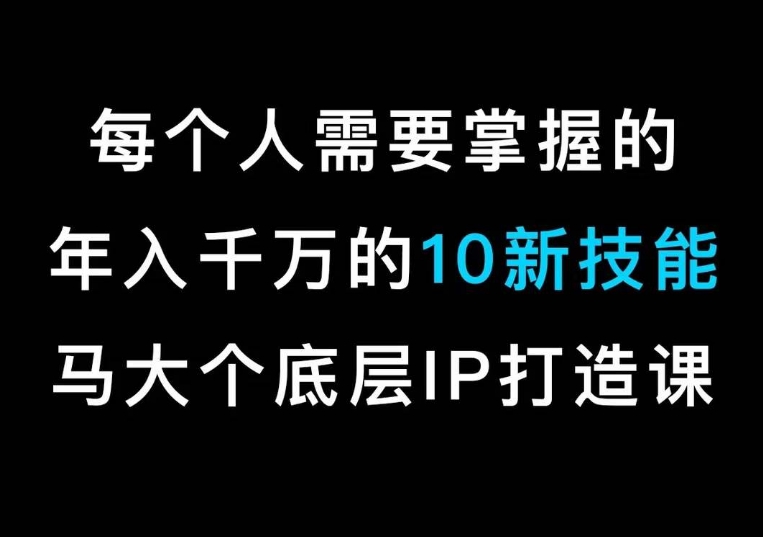 马大个的IP底层逻辑课，​每个人需要掌握的年入千万的10新技能，约会底层IP打造方法！-网赚36计