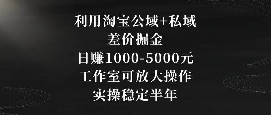 利用淘宝公域+私域差价掘金，日赚1000-5000元，工作室可放大操作，实操稳定半年【揭秘】-网赚36计