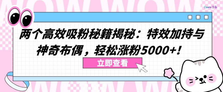 两个高效吸粉秘籍揭秘：特效加持与神奇布偶，轻松涨粉5000+【揭秘】-网赚36计