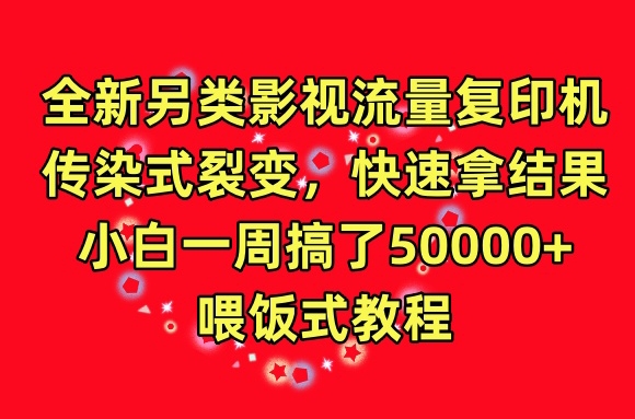全新另类影视流量复印机，传染式裂变，快速拿结果，小白一周搞了50000+，喂饭式教程【揭秘】-网赚36计