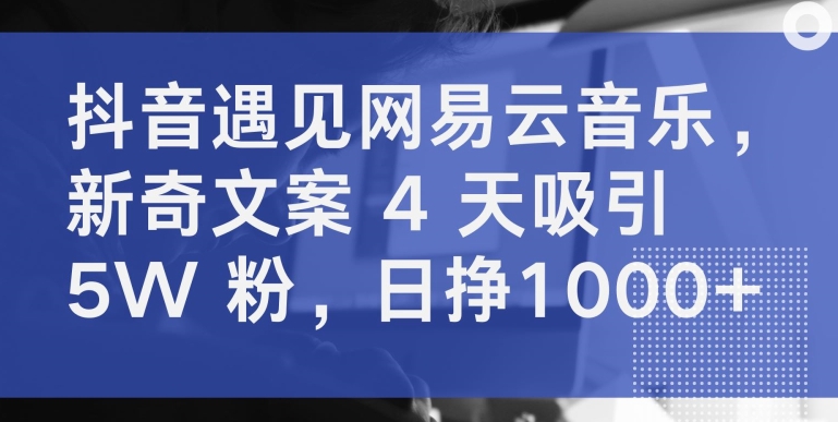 抖音遇见网易云音乐，新奇文案 4 天吸引 5W 粉，日挣1000+【揭秘】-网赚36计