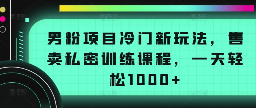 男粉项目冷门新玩法，售卖私密训练课程，一天轻松1000+【揭秘】-网赚36计